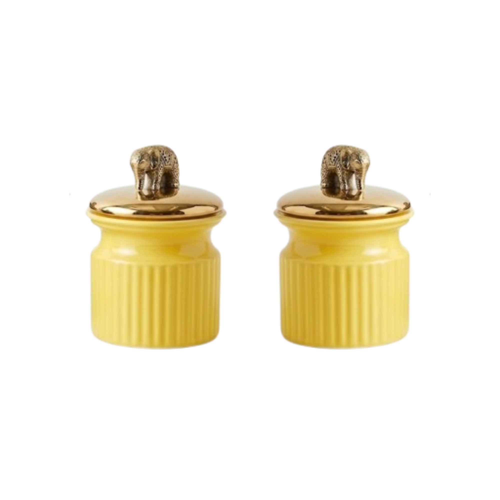 Luxe Ribbed Decorative Jars with Gold Lid (Set of 2)