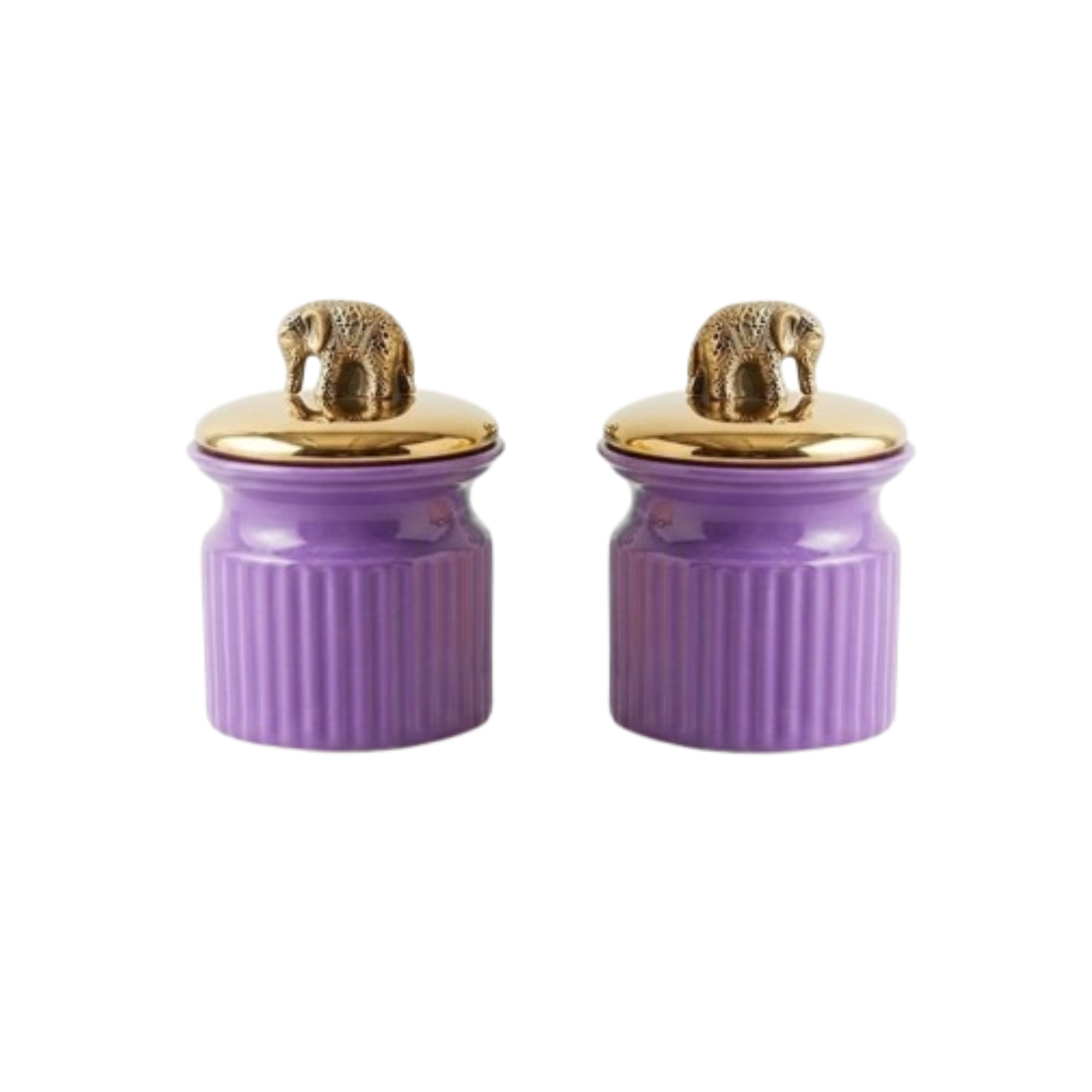 Luxe Ribbed Decorative Jars with Gold Lid (Set of 2)